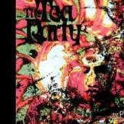 Il testo LET ME SHOW YOU THE DOOR di TEA PARTY è presente anche nell'album The tea party (indie cd) (1991)