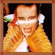 Il testo DOG EAT DOG degli ADAM AND THE ANTS è presente anche nell'album Kings of the wild frontier