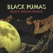 Il testo RED ROVER di BLACK PUMAS è presente anche nell'album Black pumas (2020)