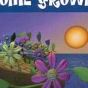 Il testo WANNA-BE dei HOME GROWN è presente anche nell'album That's business (1995)