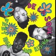 Il testo D.A.I.S.Y. AGE dei DE LA SOUL è presente anche nell'album 3 feet high and rising (1989)