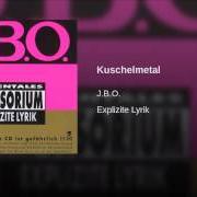 Il testo SYMPHONIE DER VERSTOPFUNG di JBO è presente anche nell'album Explizite lyrik (1995)