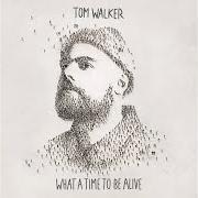 Il testo MY WAY di TOM WALKER è presente anche nell'album What a time to be alive (2019)