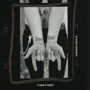 Il testo FAKE HUGS di YUNG PINCH è presente anche nell'album Summers over (2019)