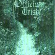 Il testo DEEP DOWN di OFFICIUM TRISTE è presente anche nell'album The pathway (2001)