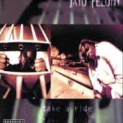 Il testo FUNK 2 DA HEAD di JAYO FELONY è presente anche nell'album Take a ride (1995)
