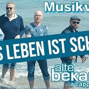 Il testo DER PERFEKTE MANN di ALTE BEKANNTE è presente anche nell'album Das leben ist schön (2019)