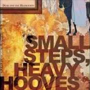 Small steps, heavy hooves