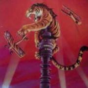 Il testo CRAZY NIGHTS di TYGERS OF PAN TANG è presente anche nell'album Crazy nights (1982)