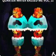 Il testo SHORTY BABY di BAS è presente anche nell'album Quarter water raised me vol. ii (2013)
