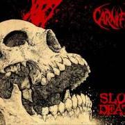 Il testo SIX FEET CLOSER TO HELL dei CARNIFEX è presente anche nell'album Slow death (2016)