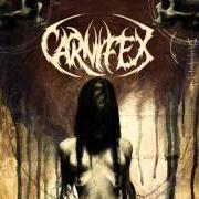 Il testo DEATHWISH dei CARNIFEX è presente anche nell'album Until i feel nothing (2011)