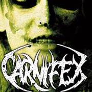 Il testo IN COALESCE WITH FILTH AND FAITH dei CARNIFEX è presente anche nell'album The diseased and the poisoned (2008)