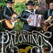Il testo DESPACITO dei LOS PALOMINOS è presente anche nell'album Siente el amor (2013)