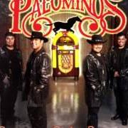 Il testo UNA LAGRIMA Y UN RECUERDO dei LOS PALOMINOS è presente anche nell'album Rockola 2 (2009)
