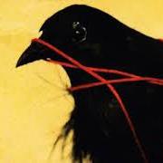 Il testo LIGHTNESS dei DEATH CAB FOR CUTIE è presente anche nell'album Transatlanticism (2004)