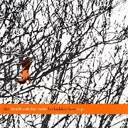 Il testo 405 dei DEATH CAB FOR CUTIE è presente anche nell'album Forbidden love (ep) (2000)
