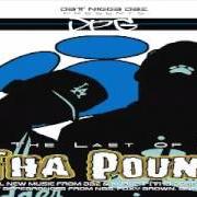 Il testo WHAT YARD PEOPLE SAY dei D.P.G. è presente anche nell'album Last of tha pound (2004)