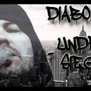 Il testo ROUNDHOUSE di DIABOLIC (RAPPER) è presente anche nell'album The disconnect (2019)