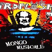 Il testo CROCOPHILE di BIRDFLESH è presente anche nell'album Mongo musicale (2006)