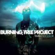 Il testo DEAR VALENTINE di BURNING TREE PROJECT è presente anche nell'album Time and color