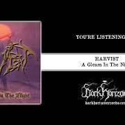 Il testo UPON BRAZEN WINGS dei HARVIST è presente anche nell'album A gleam in the night (2000)