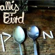 Il testo GHOSTS OF MEMORIES di WALLIS BIRD è presente anche nell'album Wallis bird (2012)