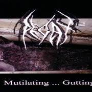 Il testo SWARMING VILE dei DECAY è presente anche nell'album Gutting (2001)