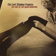 Il testo STANDING NEXT TO ME dei THE LAST SHADOW PUPPETS è presente anche nell'album The age of the understatement (2008)