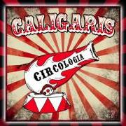 Il testo BOLSO GRIS di LOS CALIGARIS è presente anche nell'album Circología (2015)