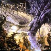 Il testo OF GENOCIDE dei DECREPIT BIRTH è presente anche nell'album ...And time begins (2003)