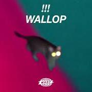 Il testo SLOW MOTION di !!! (CHK CHK CHK) è presente anche nell'album Wallop (2019)