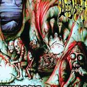 Il testo GRADUALLY MELTED dei DEEDS OF FLESH è presente anche nell'album Inbreeding the anthropophagi (1997)