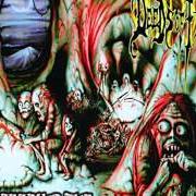 Il testo CANVAS OF FLESH dei DEEDS OF FLESH è presente anche nell'album Inbreeding the anthropophagi (1997)