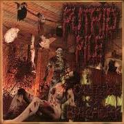 Il testo DRENCHED IN GASOLINE di PUTRID PILE è presente anche nell'album Collection of butchery (2003)