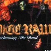 Il testo FORGET WHAT THEY SAY di DICE RAW è presente anche nell'album Reclaiming the dead (2000)