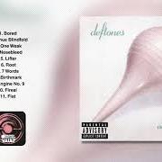 Il testo FIREAL di DEFTONES è presente anche nell'album Adrenaline (1995)