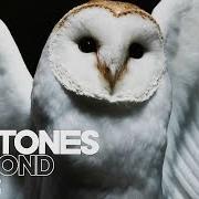 Il testo RISK di DEFTONES è presente anche nell'album Diamond eyes