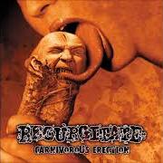 Il testo PARADE OF THE DECAPITATED MIDGETS di REGURGITATE è presente anche nell'album Carnivorous erection (2000)