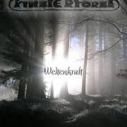 Il testo DES WALDES MACHT dei FINSTERFORST è presente anche nell'album Weltenkraft (2007)
