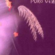 Il testo EL CALOR ME MATA di KIKO VENENO è presente anche nell'album Puro veneno (1998)