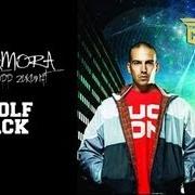 Il testo GO di RAF CAMORA è presente anche nell'album Nächster stopp zukunft (2009)