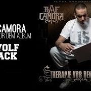 Il testo RUHE VOR DEM STURM (REMIX) di RAF CAMORA è presente anche nell'album Therapie vor dem album (2008)
