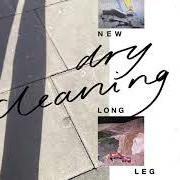 Il testo SCRATCHCARD LANYARD di DRY CLEANING è presente anche nell'album New long leg (2021)