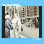 Il testo PEOPLE WATCHING di SMALLPOOLS è presente anche nell'album So social (2018)