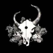 Il testo EVERYTHING WAS WHITE dei DEMON HUNTER è presente anche nell'album Summer of darkness (2004)