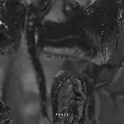 Il testo TIME ONLY TAKES dei DEMON HUNTER è presente anche nell'album Peace (2019)