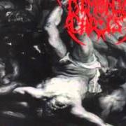 Il testo VEINS OF FROST dei DEMONIC CHRIST è presente anche nell'album Punishment for ignorance (1995)