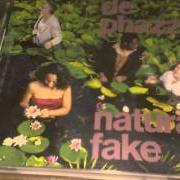 Il testo LOVE IS NATURAL dei DE-PHAZZ è presente anche nell'album Natural fake (2005)