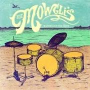 Il testo WE ARE FREE di THE MOWGLI'S è presente anche nell'album Waiting for the dawn (2013)